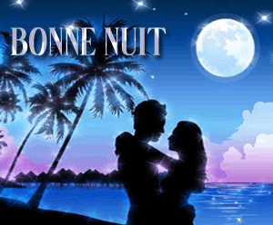 GIF bonne nuit amoureux
